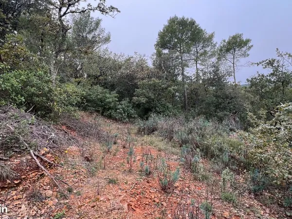 Terrain 1828 m² GAREOULT