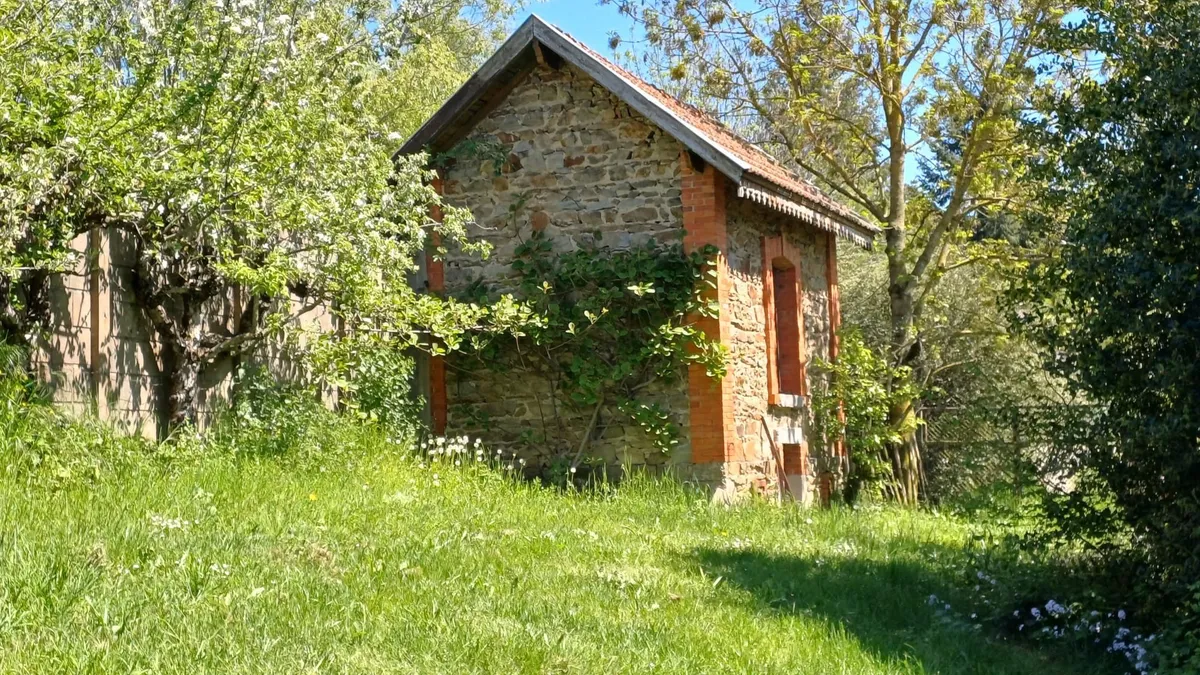 Photo 16