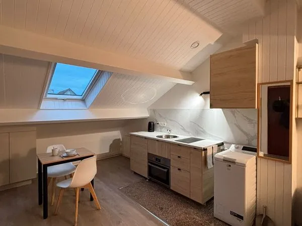 Studio meublé entièrement rénové - 35 m² au sol - Versailles Porchefontaine