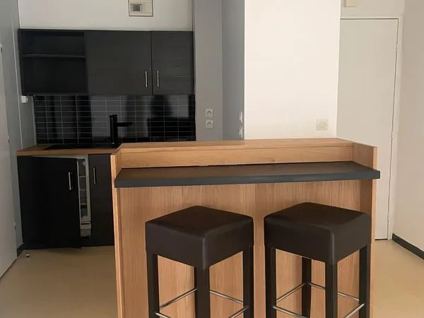 Appartement T2 entre la gare et l'université