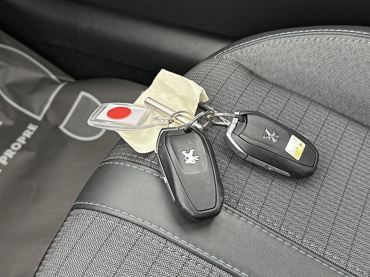 Peugeot 208 puretech 100 s&s bvm6 allure — photo 33