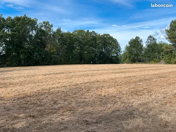 Terrain constructible dans un superbe environnement boisé