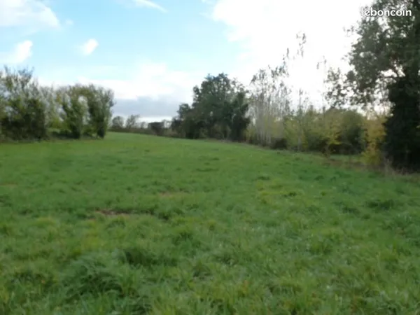 Location de terrain