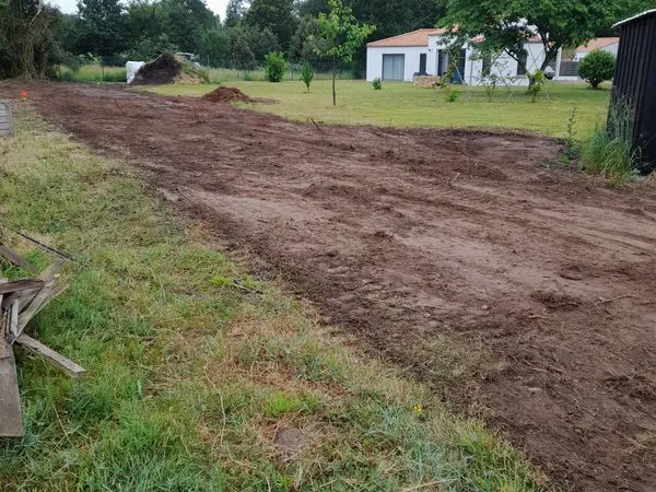 Terrain calme avec verdure