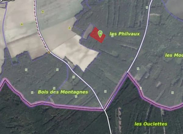 Parcelles de bois à Bouhy 11129 m2