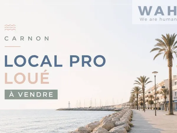 Local 19 m²