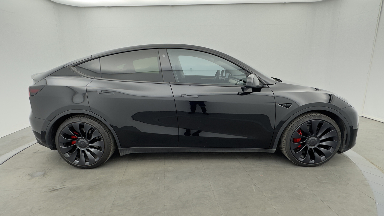 Tesla MODEL Y Performance Dual Motor AWD — photo 6