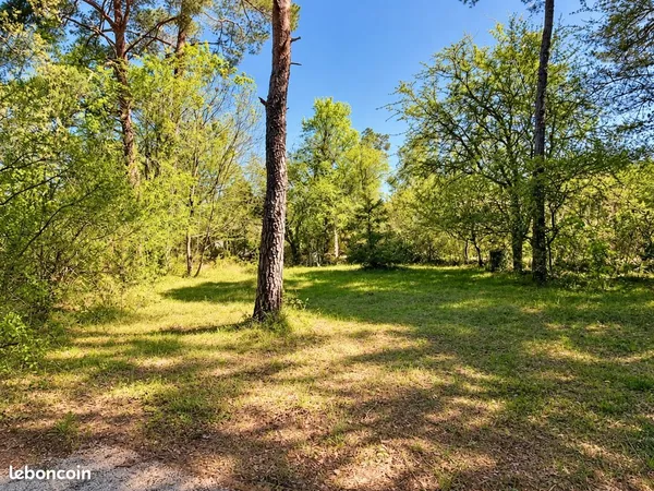 Belle parcelle constructible de 881 m² au pied de la Sainte Baume