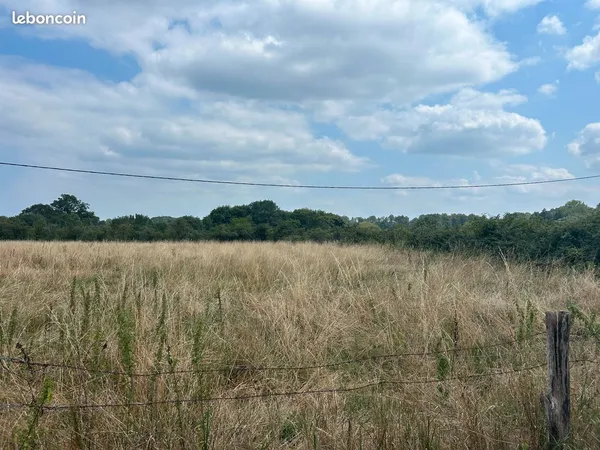 5ha Lande de pins + prairie