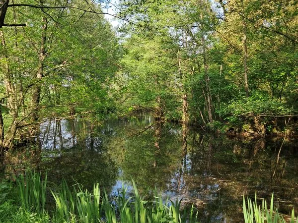 Terrain + etang