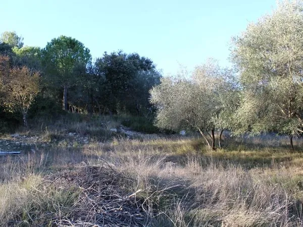 EXCLU UCHAUD - Vente Terrain constructible