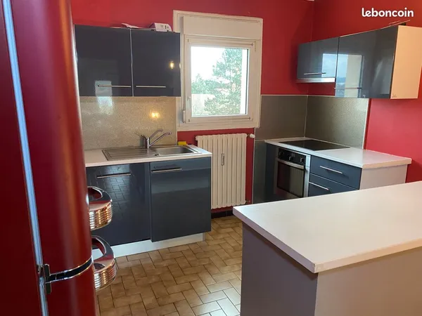 Appartement meublé 70 m² 2 parkings + cave - Montbéliard