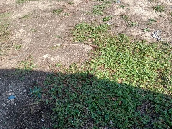 Stationnement Location Meaux   50€