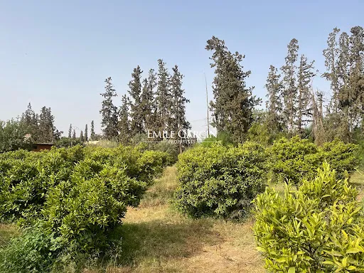 Terrain 17000 m²