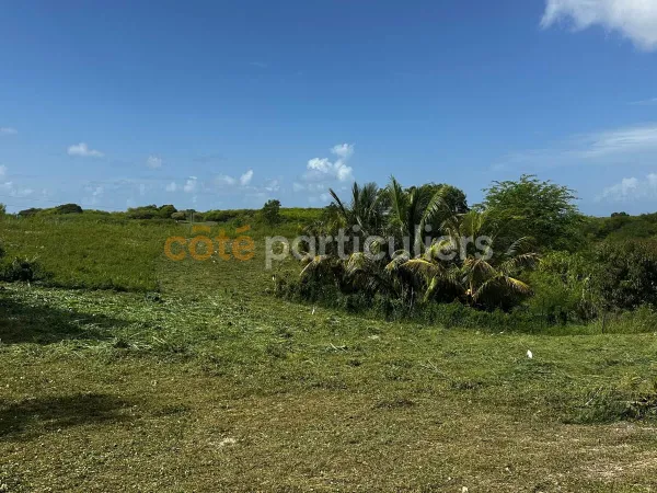 TERRAIN À BÂTIR DE 779 M² ?GISSAC ST ANNE