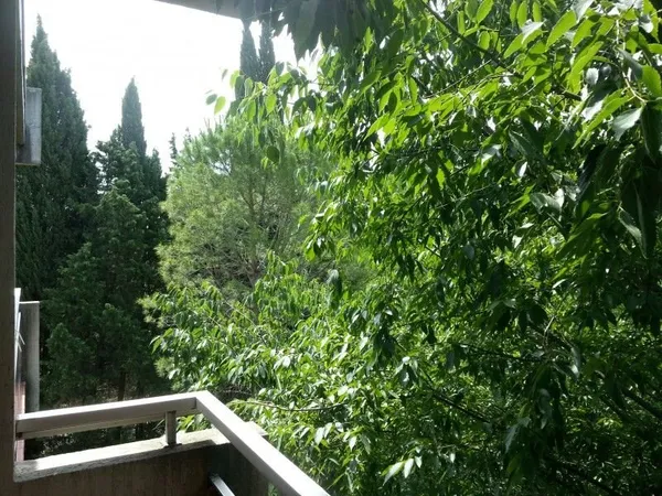 Appartement 1 pièce 28 m²