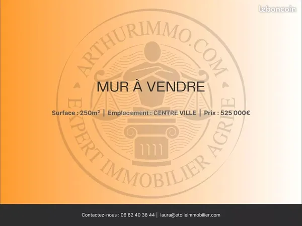 Local commercial 250 m² Calvi