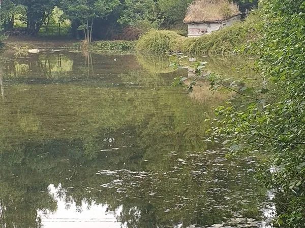 Étang ou parc de loisirs