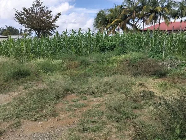 À vendre Terrain constructible