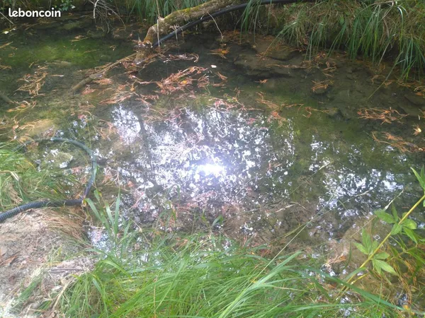 Terrain avec source