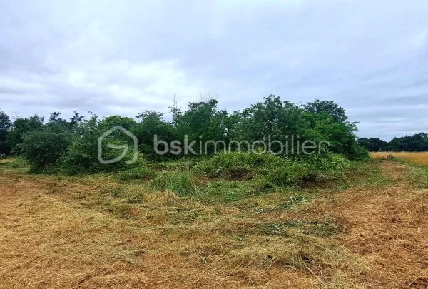 Terrain 1143 m²