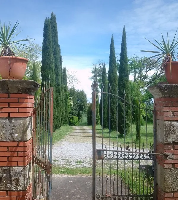 Photo 12