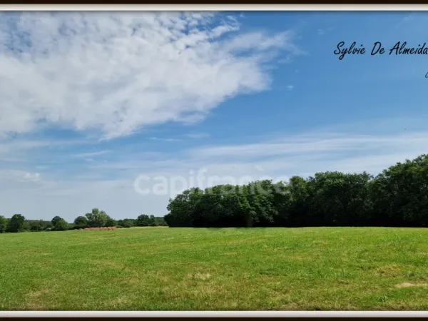Terrain 3128 m²