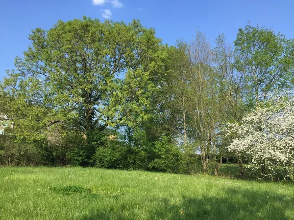 TERRAIN constructible , 1650 m2 + CHALET tt confort ,