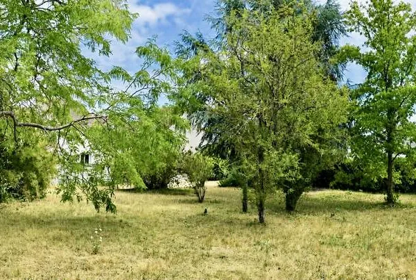 Terrain 712 m²