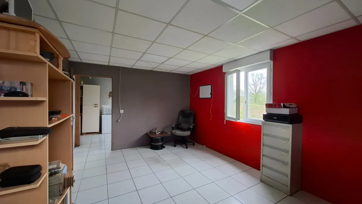 Photo 5