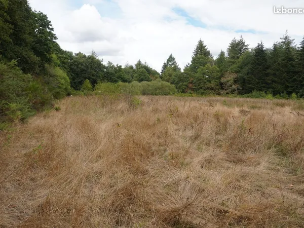 Terrain naturel 2 ha - Prairie & bois - Pluherlin (56)