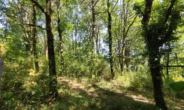 PARCELLE DE TERRAIN CONSTRUCTIBLE D'ENVIRON 2000 m²