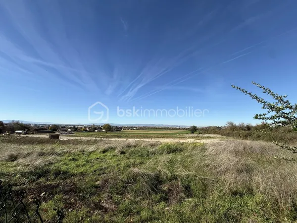Terrain 487 m²