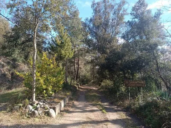 A vendre, Maison en pleine nature à fort potentiel - Haut-Vallespir ! (66)
