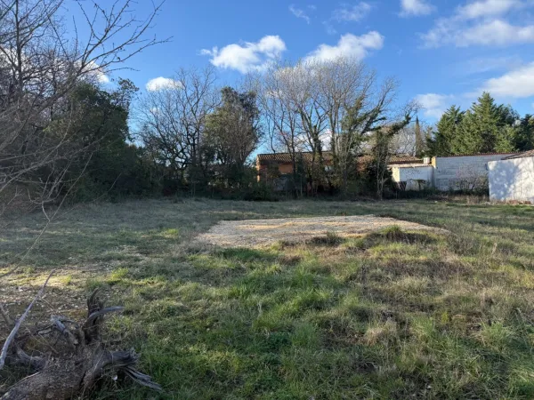 Terrain 1237 m²