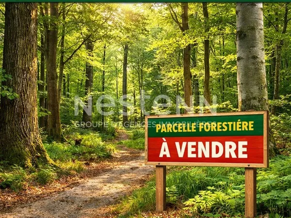 Terrain forestier Saint-martin-des-près 13435 m2