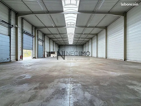 Local commercial 1000 m² SAINTE MARGUERITE