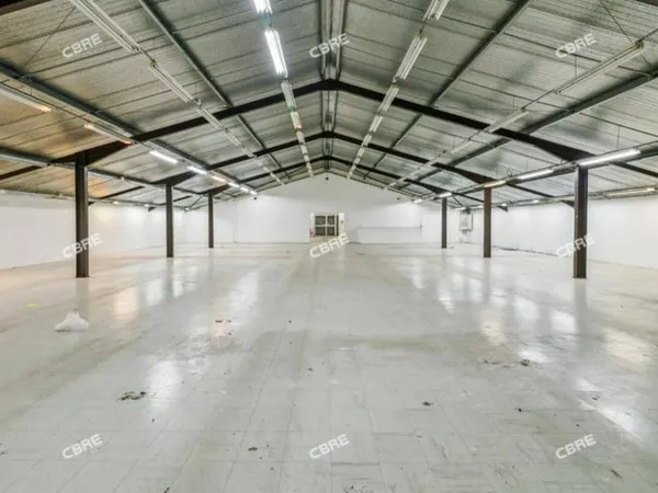 Local d'activité 1300 m²