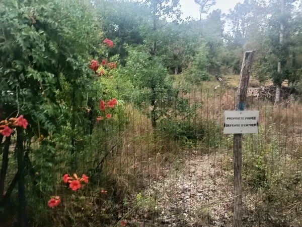 Terrain d'agrément