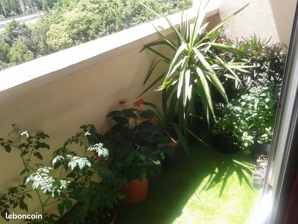 Appartement T3/4