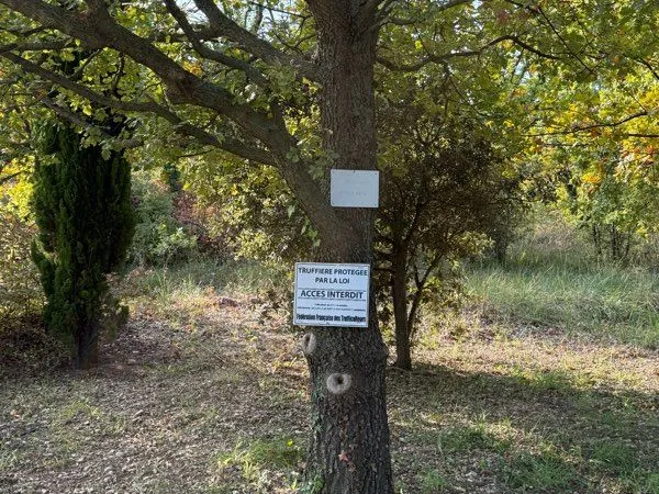 Truffière - terrain agricole ou loisirs - Puits - Eau