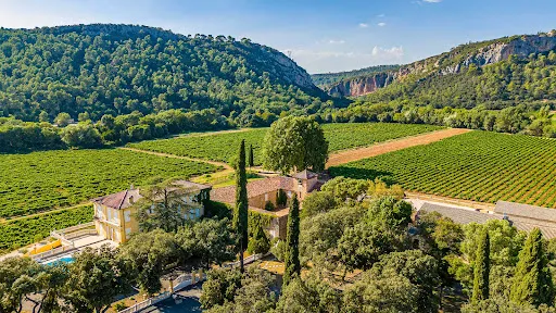 Vignoble 700000 m²
