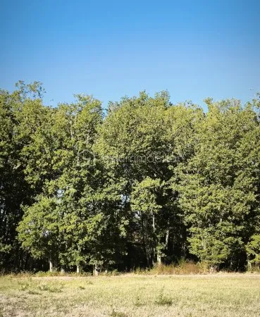 Terrain 815 m²