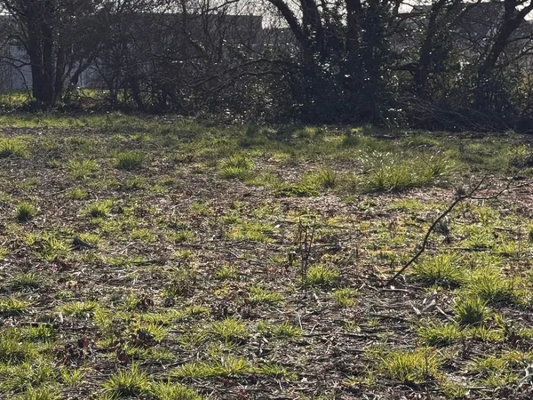 Terrain 411 m²