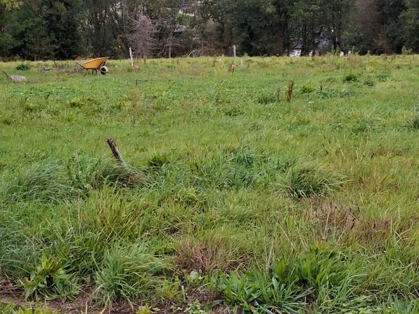 Terrain viabilisé