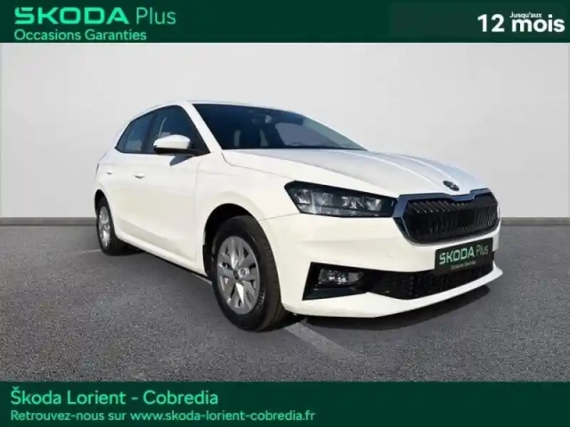Skoda Fabia 1.0 tsi evo2 95ch selection — photo 3