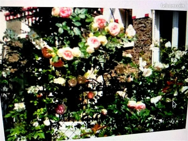 Maison télégraphe jardinet