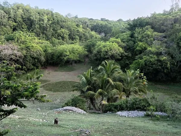 Terrain 1000 m²