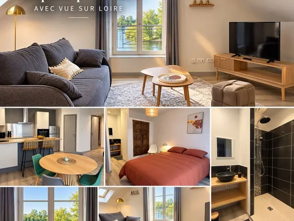 Duplex premium meublé avec vue Loire - Orléans