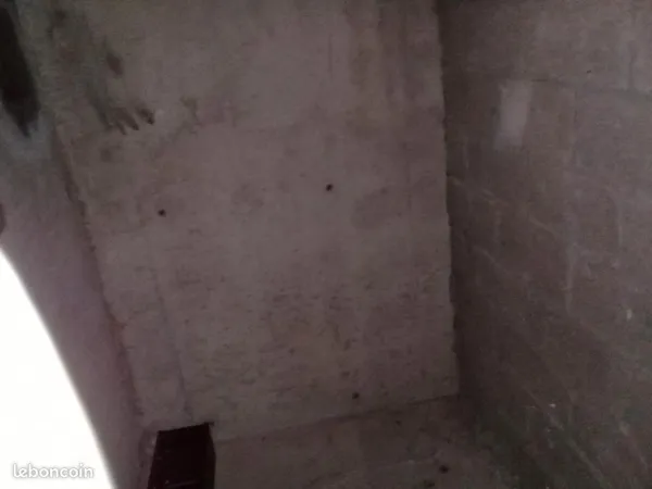 Cave au plafond à louer